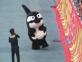 [名古屋戦2015A]超ラブリーなグランパス師匠&グララちゃん