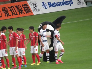 [名古屋戦2015A]グランパス師匠のヒレにタッチしてご満悦スマイルの丸ちゃん